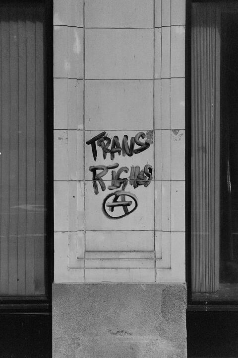 Trans Rights Tag, 2023