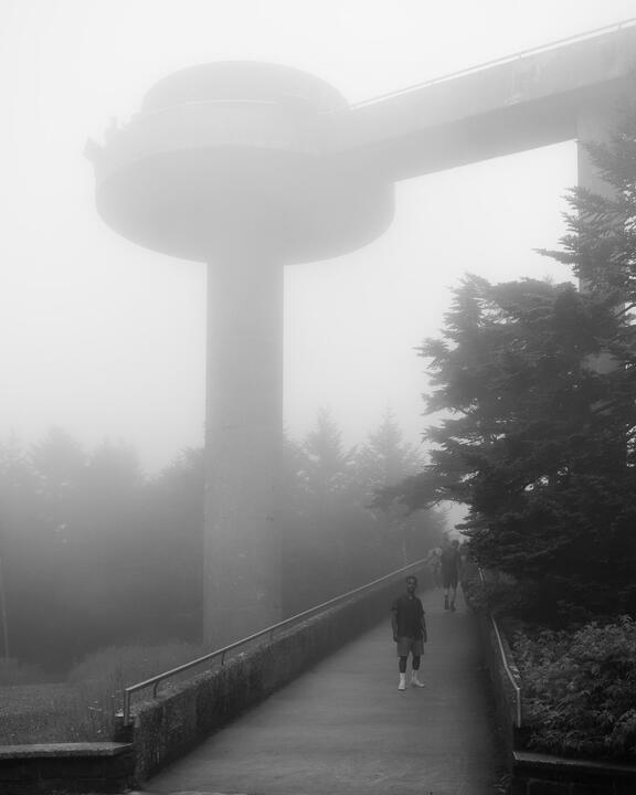 Zinaw, Clingman&#39;s Dome, 2020