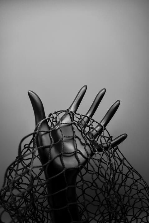 State of Affairs, 2019