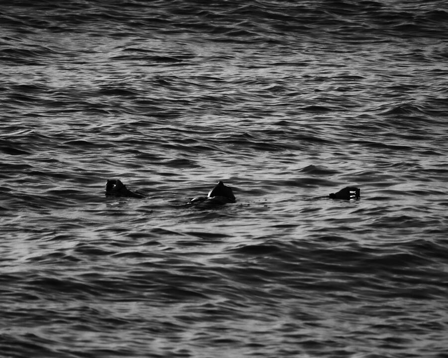 &quot;Drifting&quot;, 2023