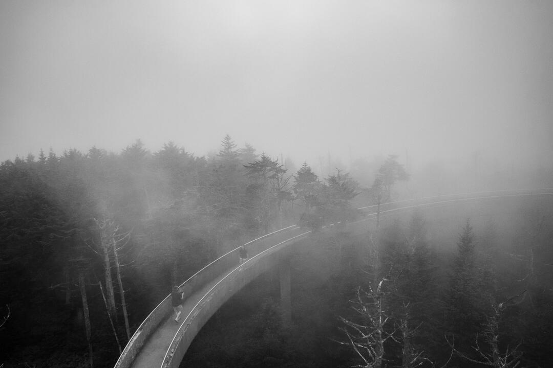 SkyWalk, Smoky Mountains National Park, 2019